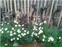 6e7bdd7f-2016-05-11 18.52.53.jpg